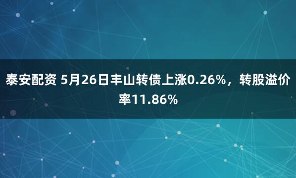 泰安配资 5月26日丰山转债上涨0.26%，转股溢价率11.86%