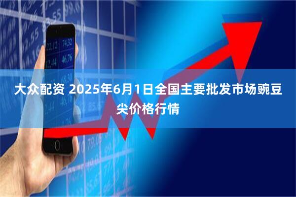 大众配资 2025年6月1日全国主要批发市场豌豆尖价格行情