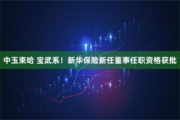 中玉束哈 宝武系！新华保险新任董事任职资格获批
