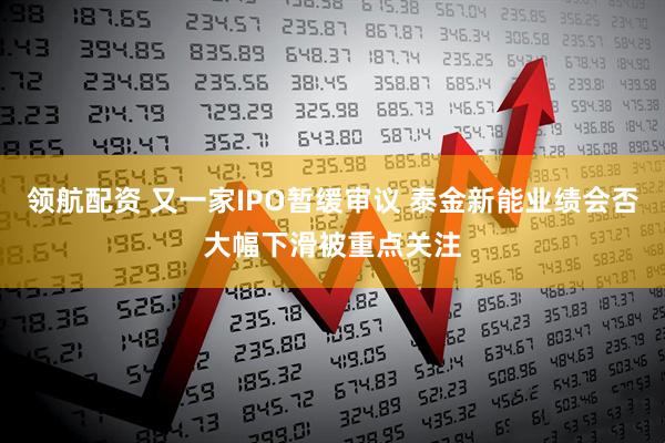 领航配资 又一家IPO暂缓审议 泰金新能业绩会否大幅下滑被重点关注