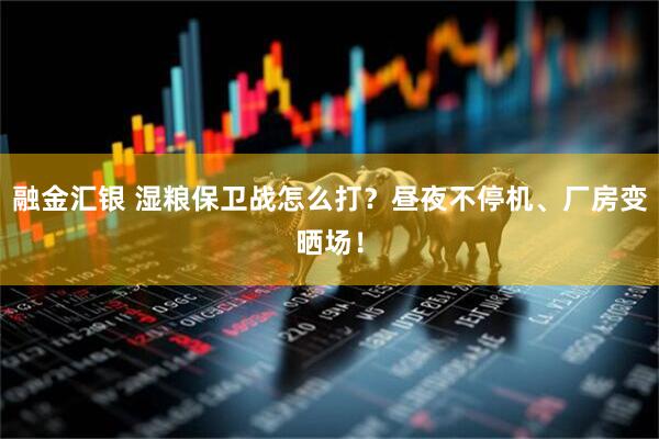 融金汇银 湿粮保卫战怎么打？昼夜不停机、厂房变晒场！