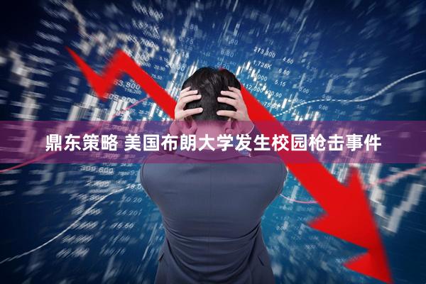 鼎东策略 美国布朗大学发生校园枪击事件